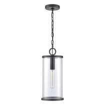Hopkins 7" 1-Light Outdoor Hanging Light