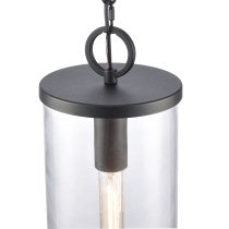 Hopkins 7" 1-Light Outdoor Hanging Light