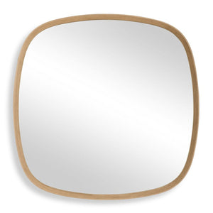 Novell Mirror