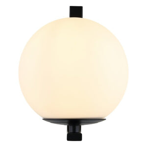 Oyster Wall Sconce Set of 2 (Black)