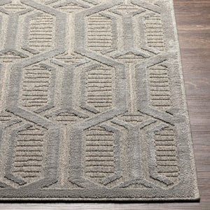 Kingstown Rug/ Gray