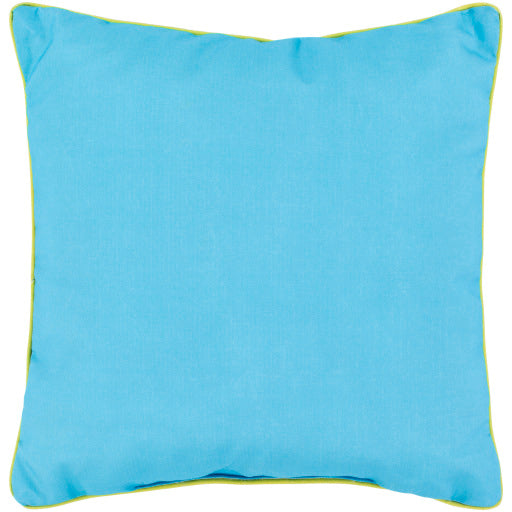 Vibrant Spectrum 20&quot; x 20&quot; Pillow