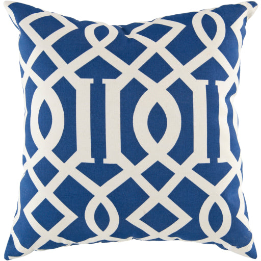 Sky Stripe 22&quot; X 22&quot; Pillow