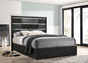 Cass Panel Bed