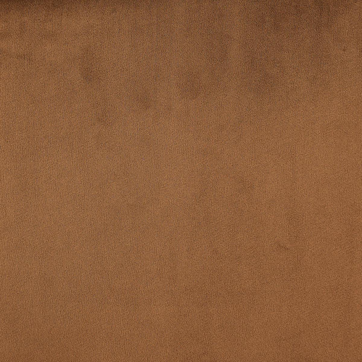 Guardian Dining Chair