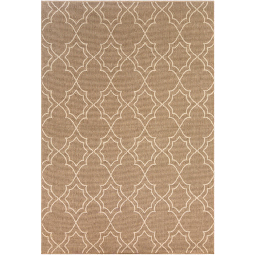 Dynamic Diamonds 8&quot; x 10&quot; Rug