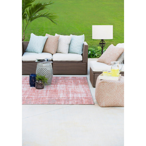 Vibrant Vintage 20&quot; x 20&quot; pillow