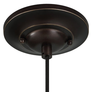 Placuna 1 Lt Pendant
