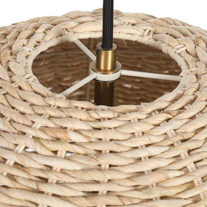Seagrass Dome 1 Lt Pendant