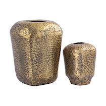 Organic Vase Set of 2