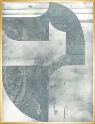 Adaptive Forms II Framed Wall Art