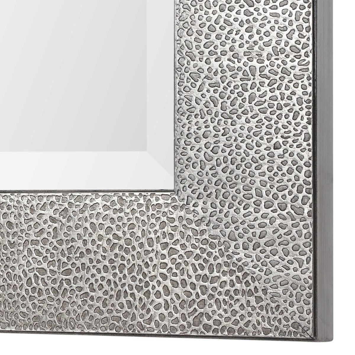 Alani 48&quot; x 24&quot; Mirror