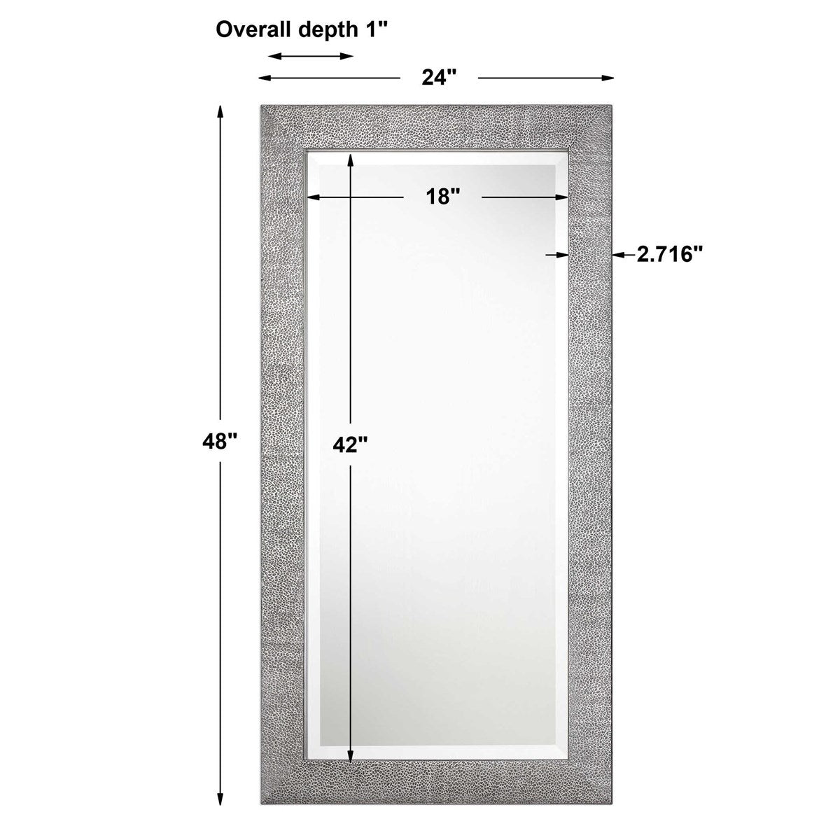 Alani 48&quot; x 24&quot; Mirror