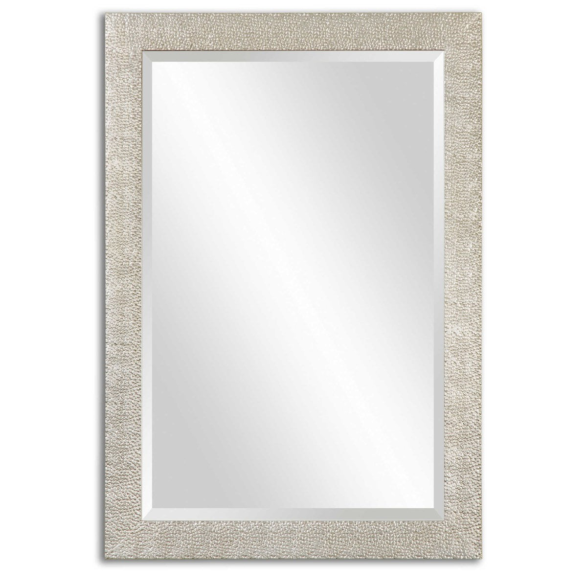 Alina 41&quot; x 29&quot; Mirror