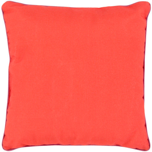 Vibrant Spectrum 20&quot; x 20&quot; Pillow