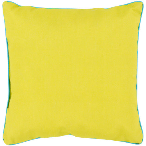 Vibrant Spectrum 20&quot; x 20&quot; Pillow