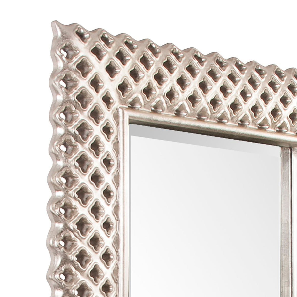 Meriweather Rectangular 71&quot; x 32&quot; Mirror