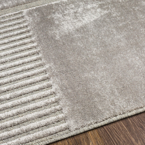 Montego Rug/ Gray