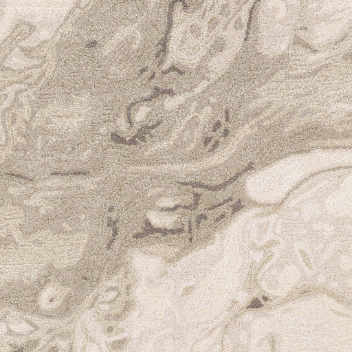 Kavita Valentina Area Rug